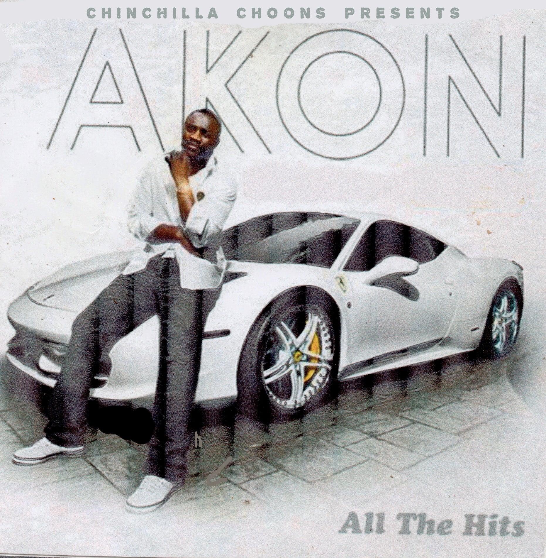 Akon All The Hits Chinchilla Choons Mixtapes Instant Download akon-all-the-hits-chinchilla-choons-mixtapes-instant-download