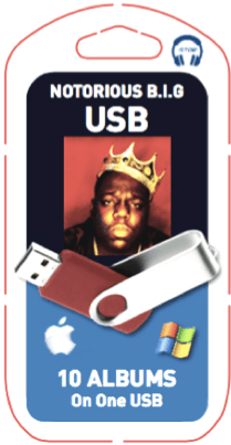 Biggie USB - Chinchilla Choons