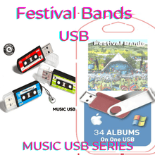 Load image into Gallery viewer, Festival Bands USB - Chinchilla Choons
