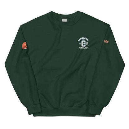 California Varsity Unisex Sweatshirt - Chinchilla Choons