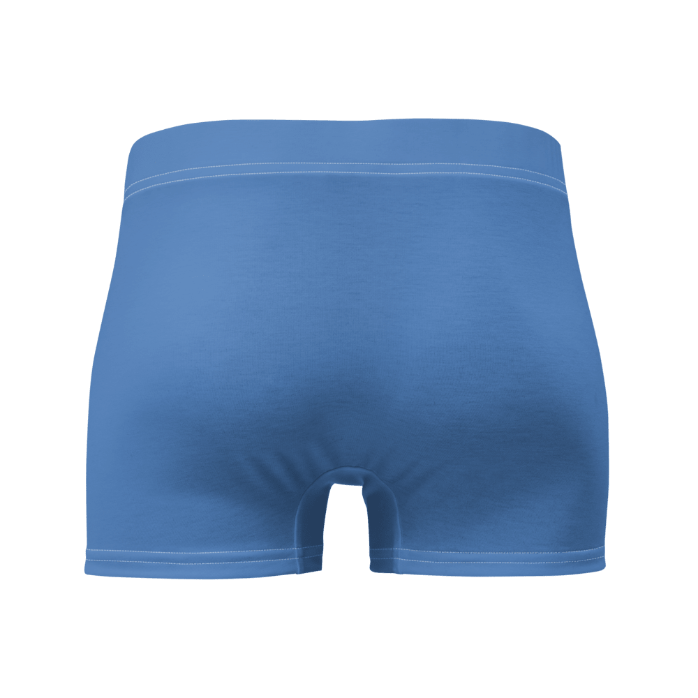 New York City Boxer Briefs - Chinchilla Choons