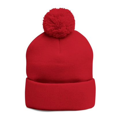 London (LDN) Embroidered Pom - Pom Beanie — Knit Cap - Chinchilla Choons