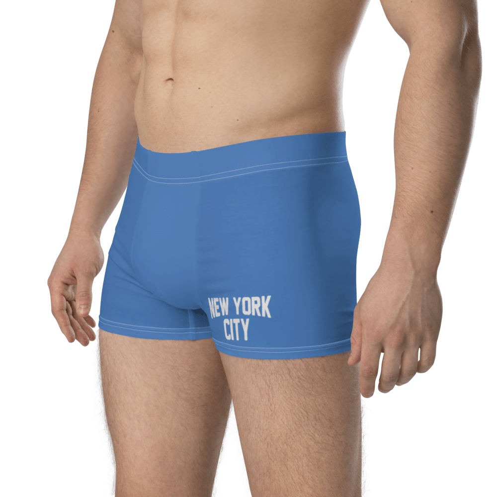 New York City Boxer Briefs - Chinchilla Choons
