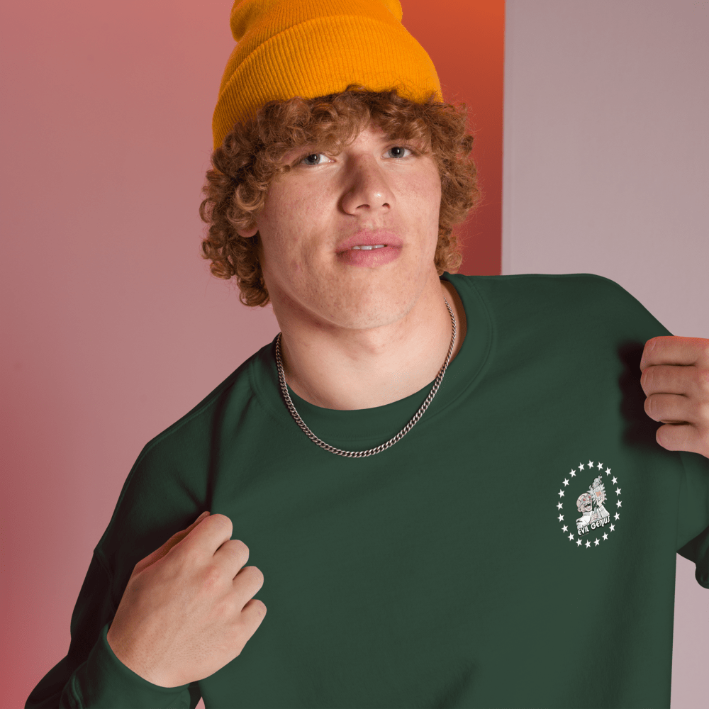 Evil Genius Unisex Sweatshirt - Chinchilla Choons