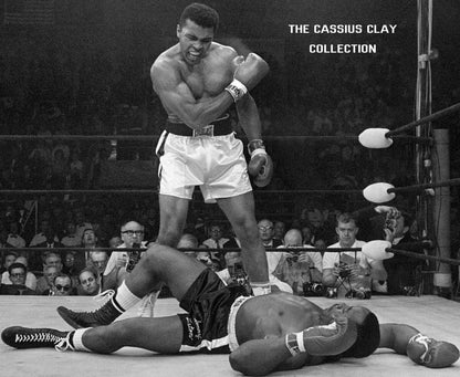Cassius Clay Unisex Organic Sweatshirt - Chinchilla Choons
