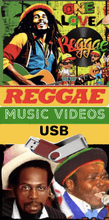 Load image into Gallery viewer, Reggae Music Videos USB - Chinchilla Choons
