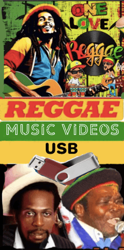 Reggae Music Videos USB - Chinchilla Choons