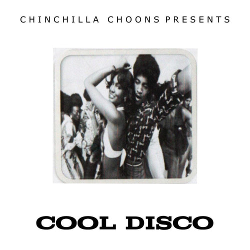 Cool Disco - Chinchilla Choons