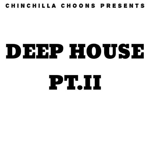 Deep House Pt 2 - Chinchilla Choons